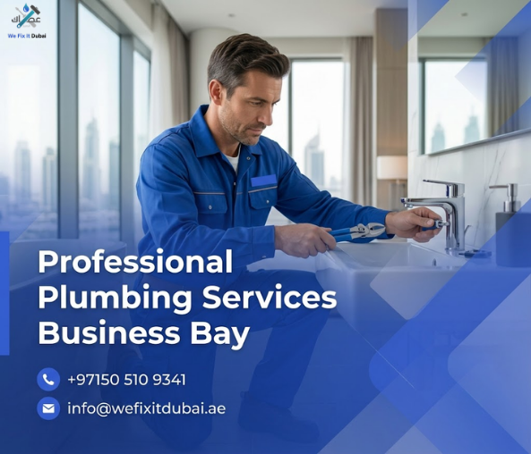 Professional Plumbing Services Business Bay